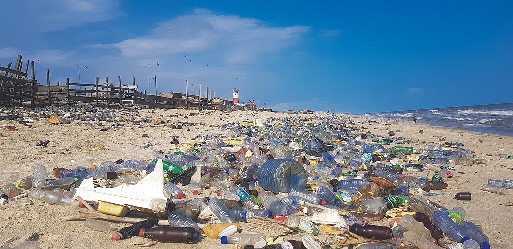 Plastic pollution in the beach