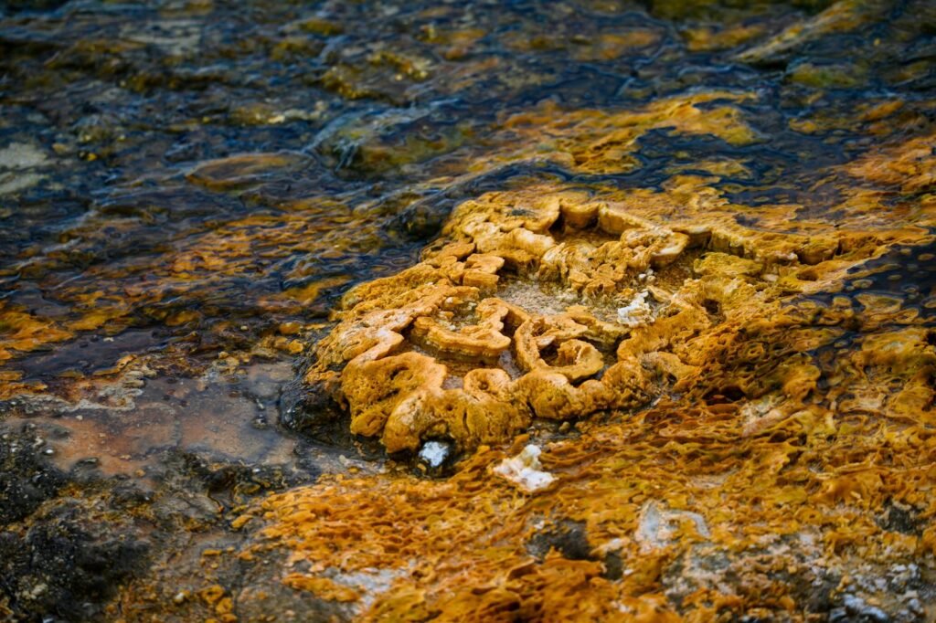 Detailed view of an orange rock formation with water texture and patterns highlighting nature's art.
