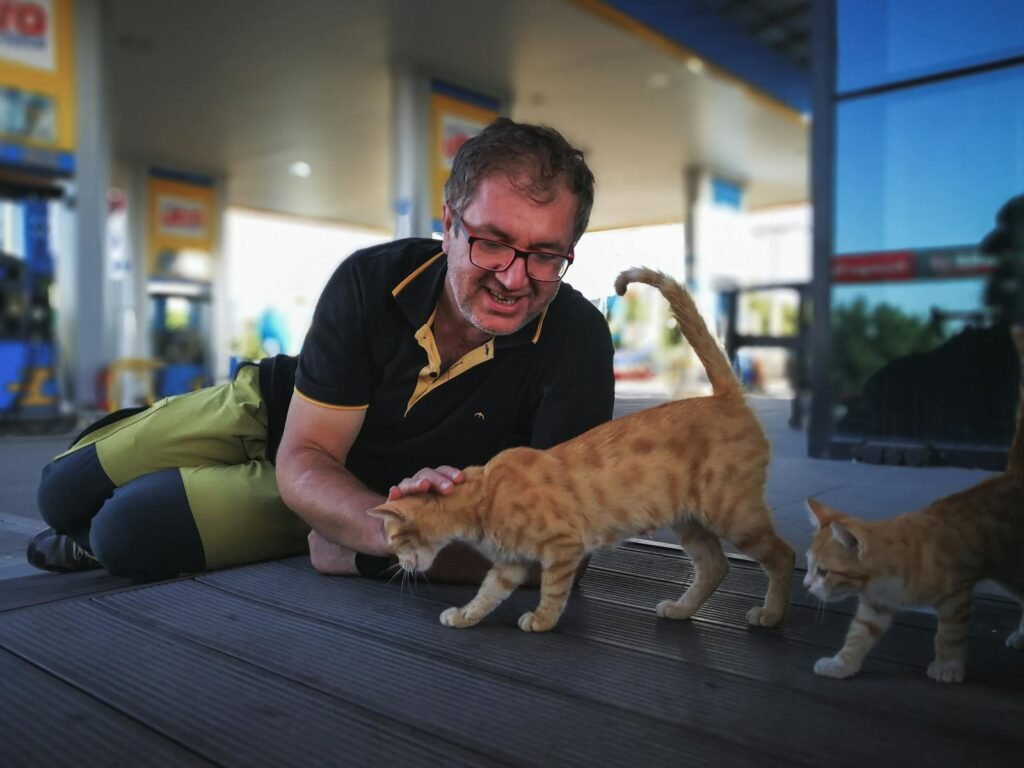 A man enjoying the company of playful kittens at a gas station.