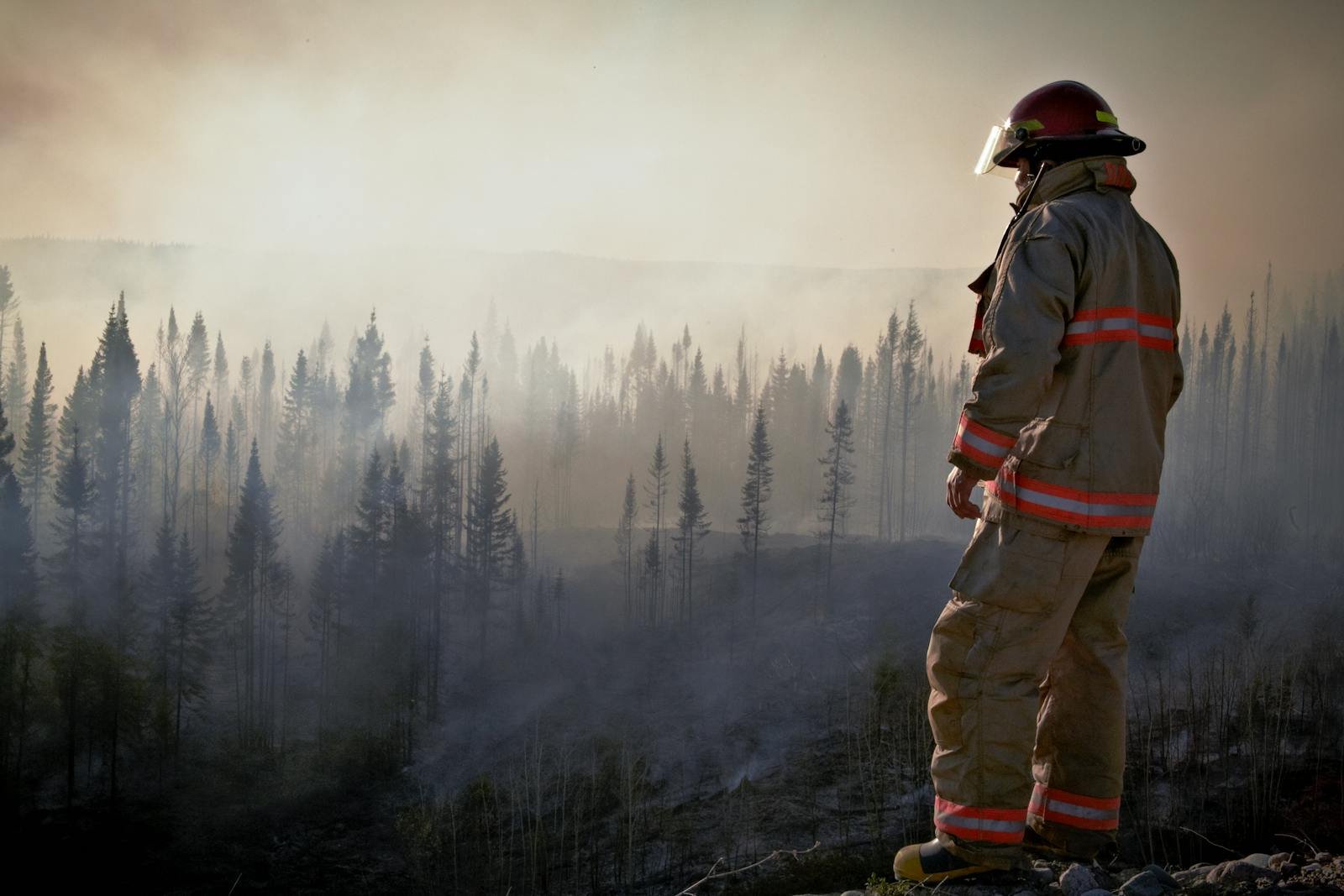 8 U.S. States Using AI to Fight Wildfires and Disasters