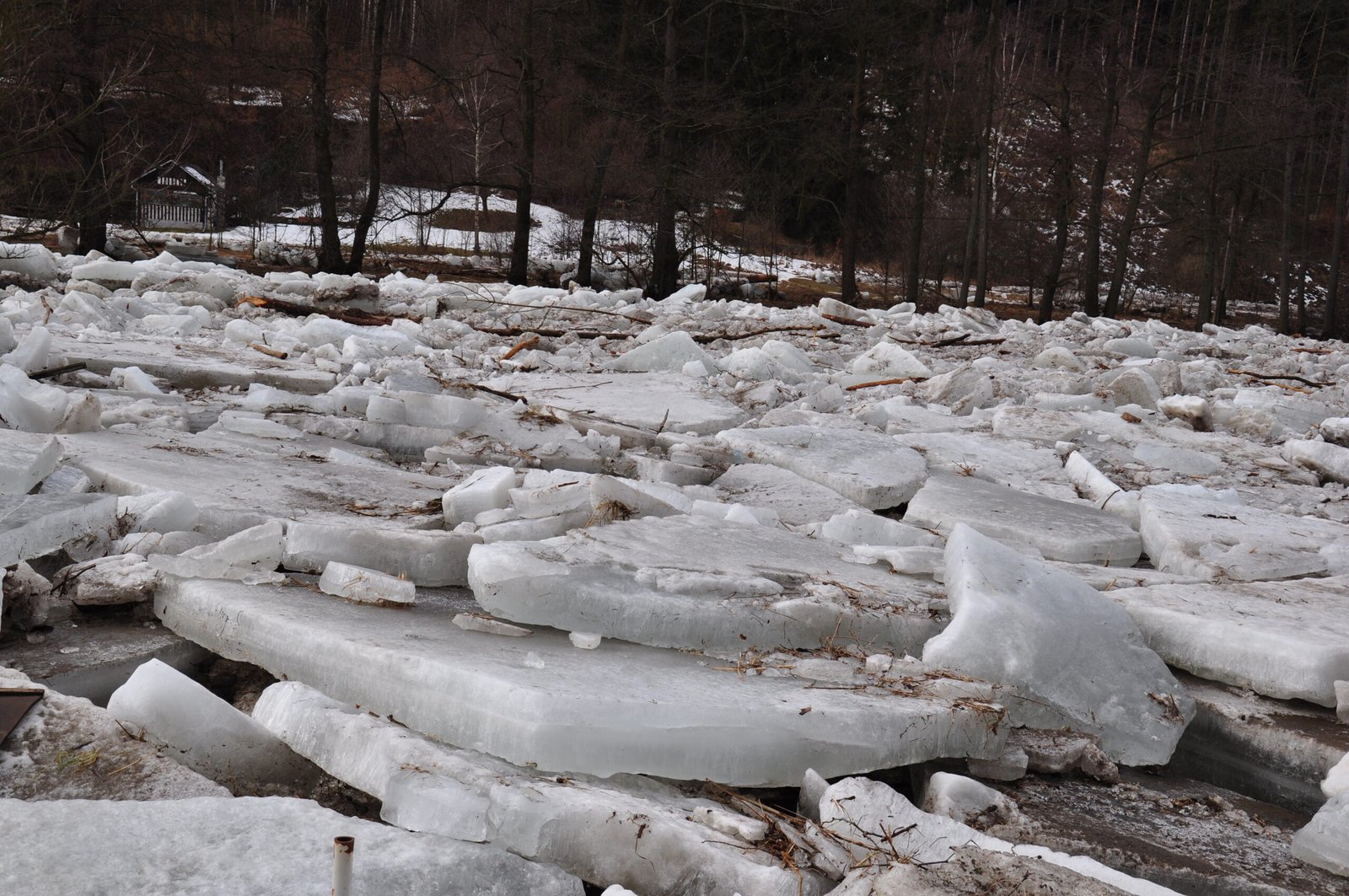 When Ice Shoves Go Viral: Social Media Reactions (image credits: wikimedia)