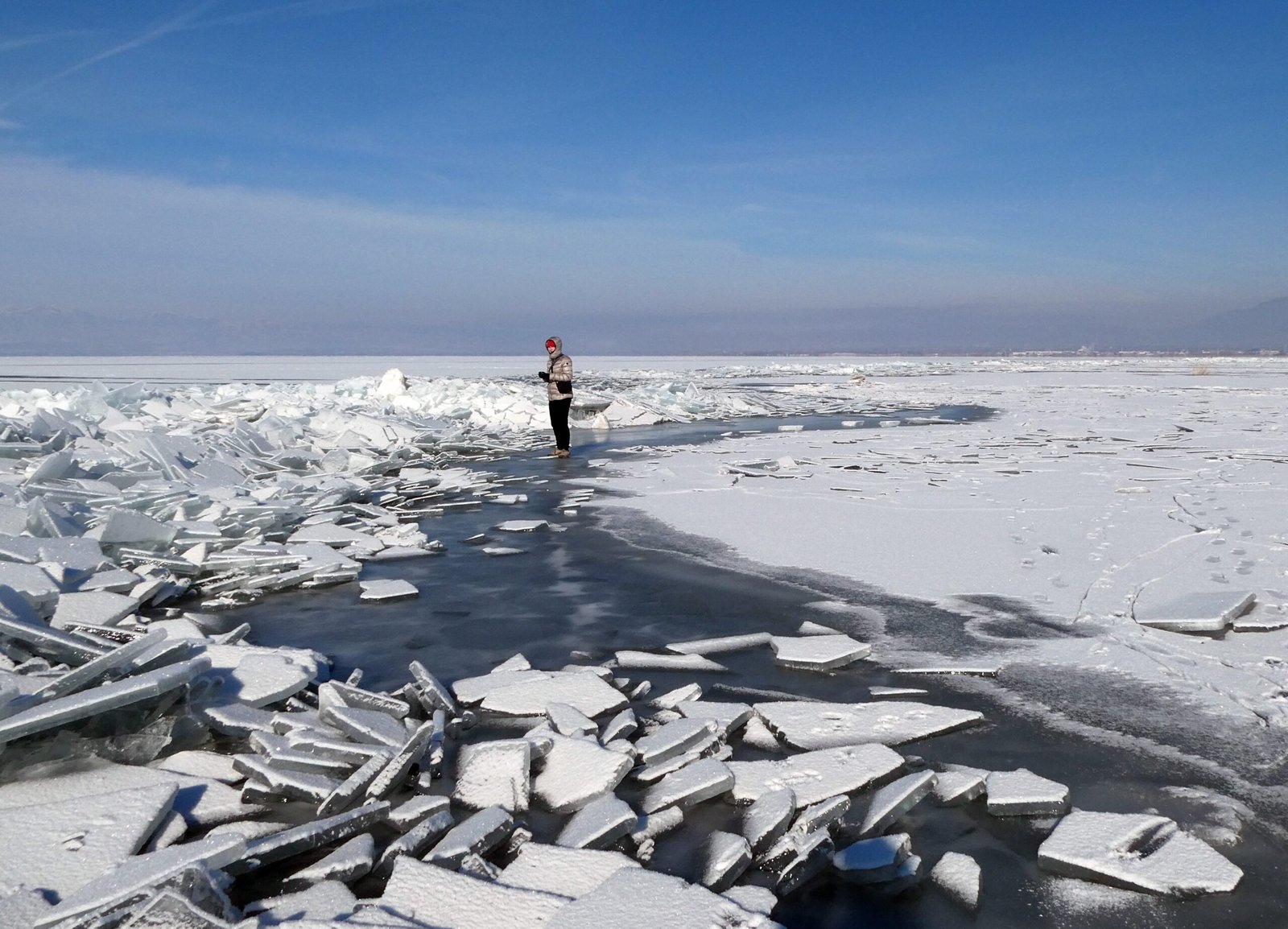 Ecological Impact: More Than Just a Mess (image credits: wikimedia)