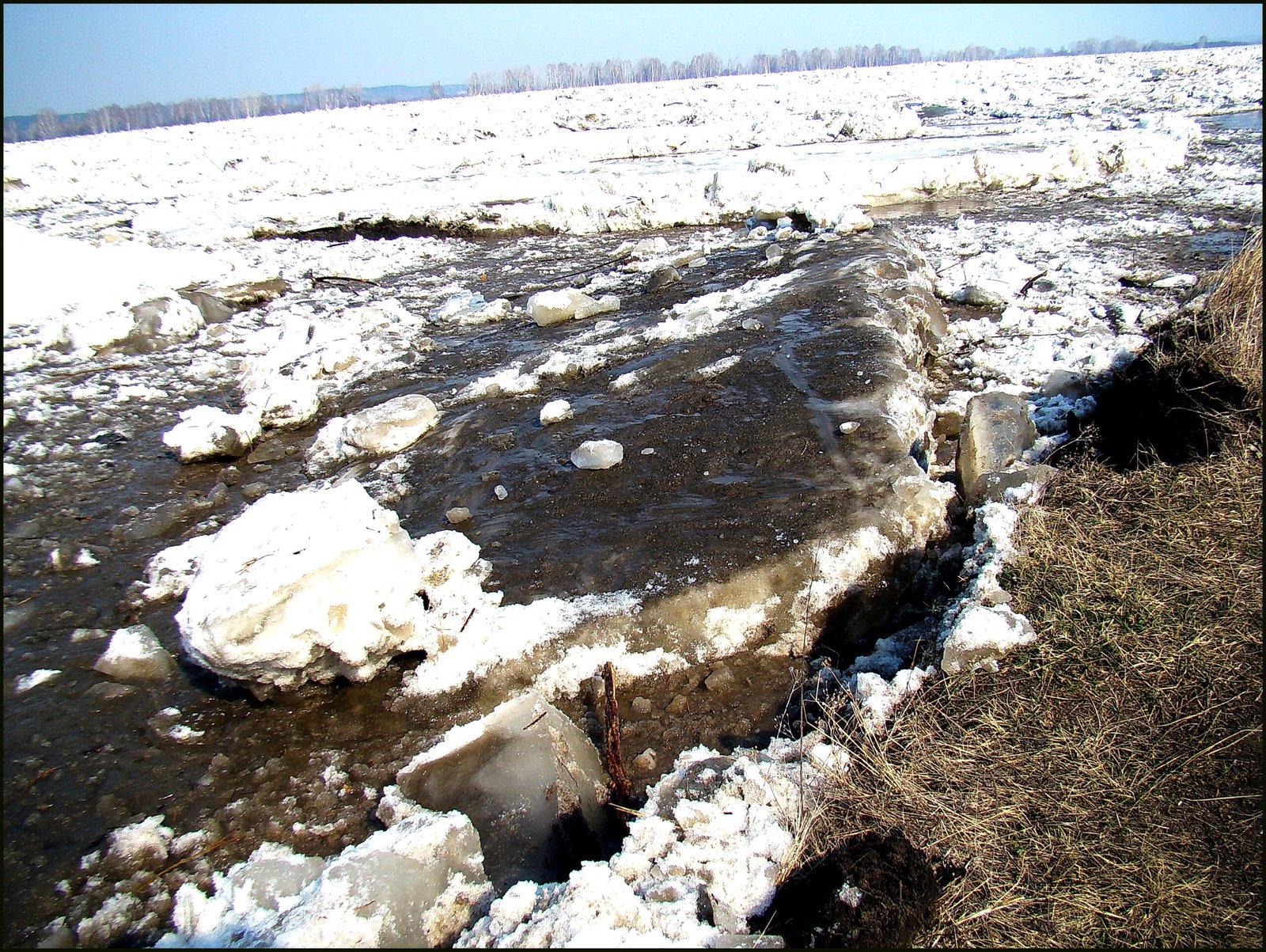 First-Hand Accounts: Stories from the Front Lines (image credits: wikimedia)