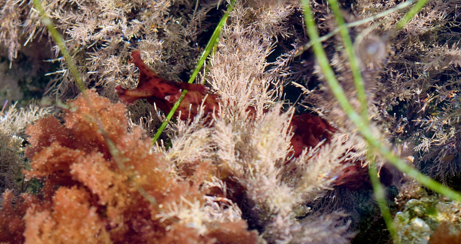 Inspiring Awe and Curiosity (image credits: wikimedia)