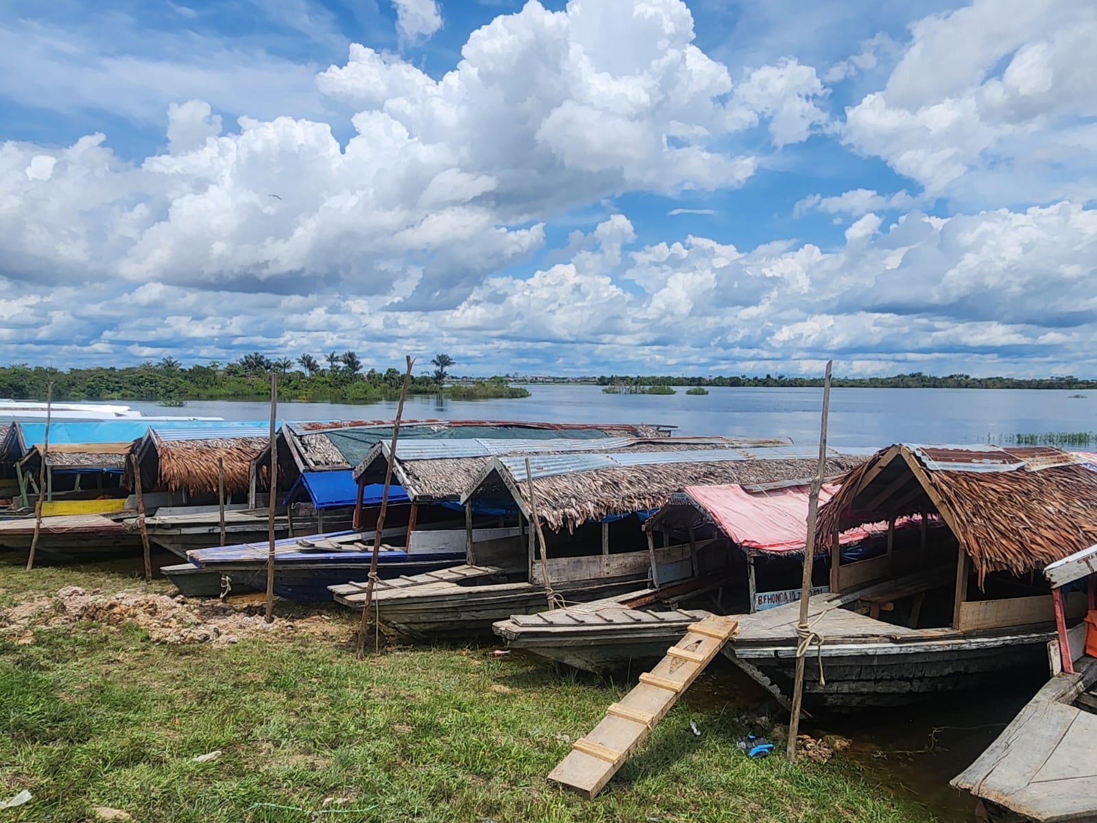The Amazon’s Waterways: Rivers as Highways (image credits: wikimedia)