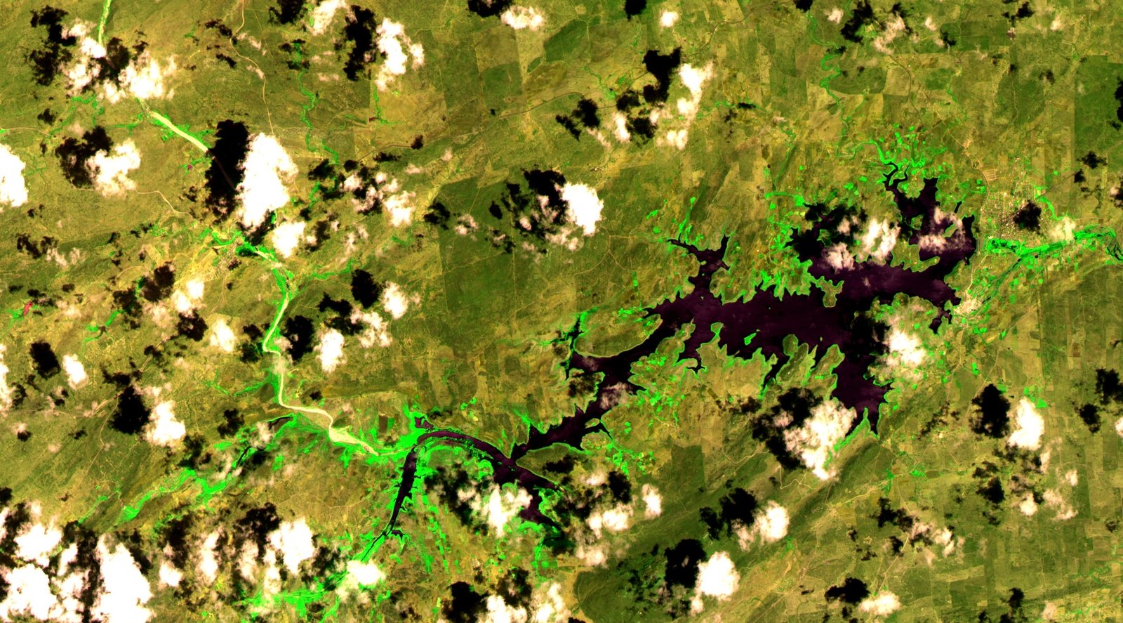 The Global Hunt: Terra Preta Beyond Brazil (image credits: wikimedia)