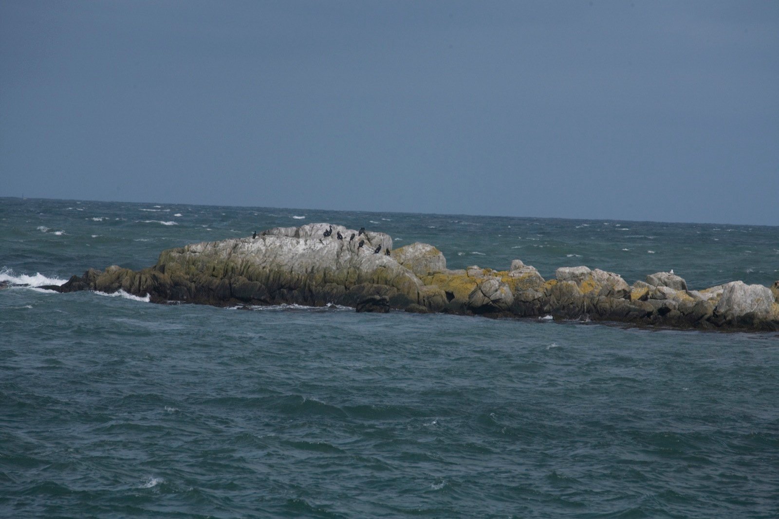 Early Humans on the Edge of the Sea (image credits: wikimedia)