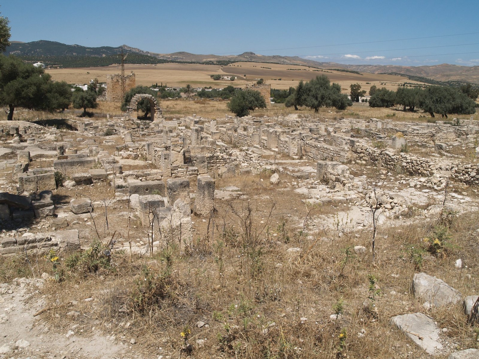 Pyramids Swallowed by the City (image credits: wikimedia)
