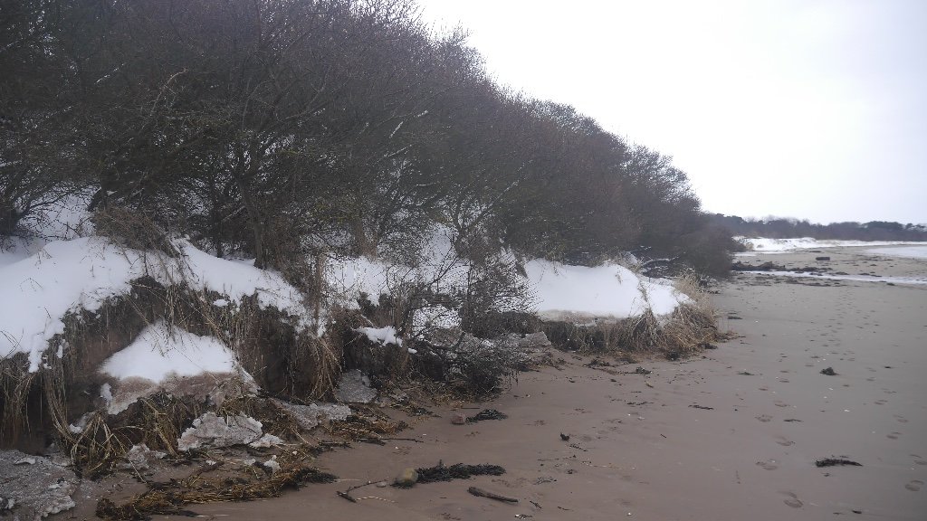 Changing Coastlines: Nature’s Relentless Power (image credits: wikimedia)