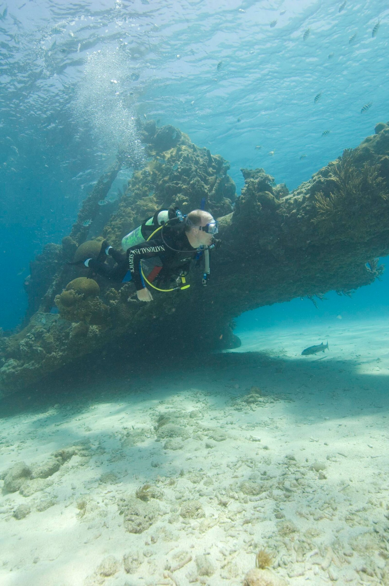Underwater Exploration: Unraveling the Mysteries (image credits: wikimedia)