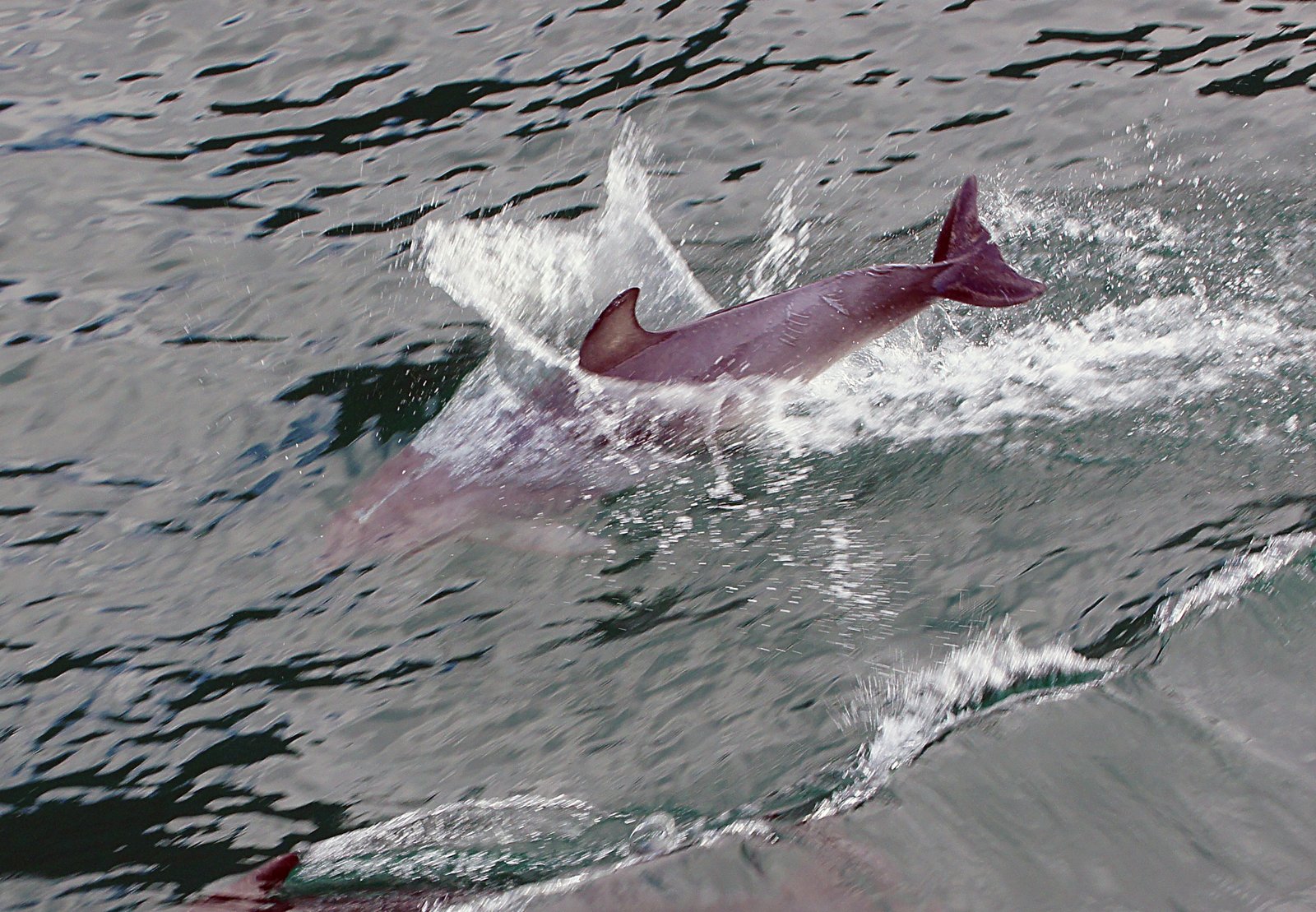 Complex Play and Creativity (image credits: wikimedia)