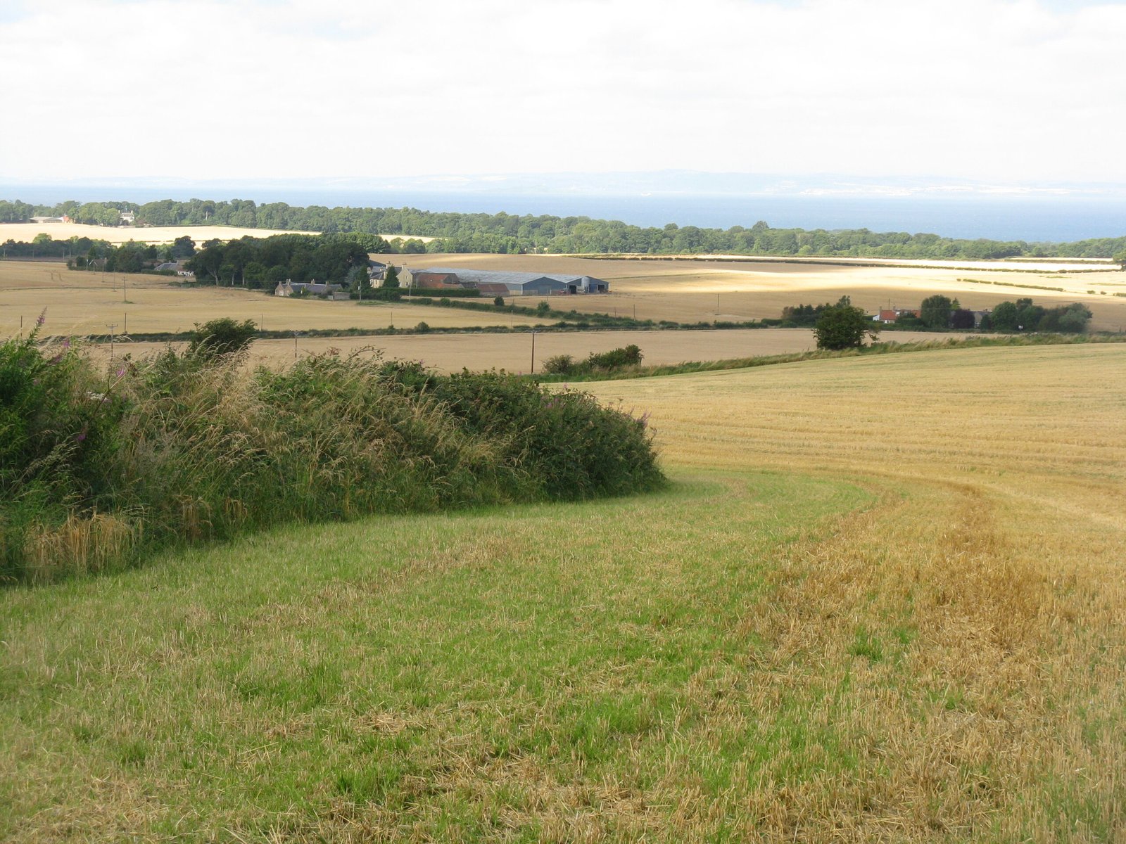 Volcanic Soils: The Secret Behind Victoria’s Agriculture (image credits: wikimedia)