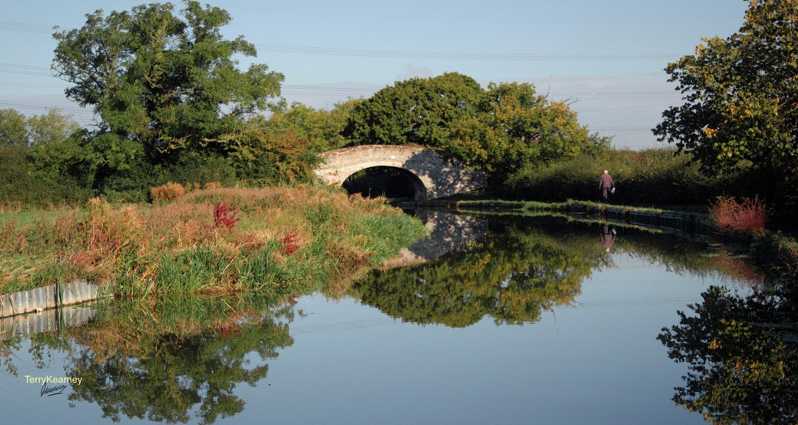 Ecological Impacts: Then and Now (image credits: wikimedia)