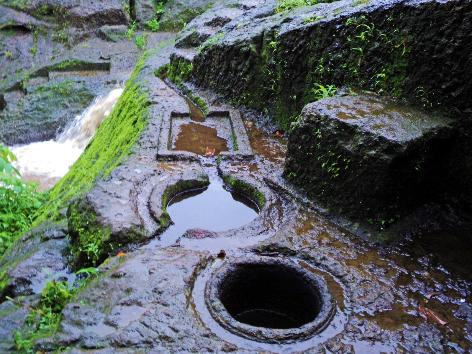 Lessons in Sustainability (image credits: wikimedia)
