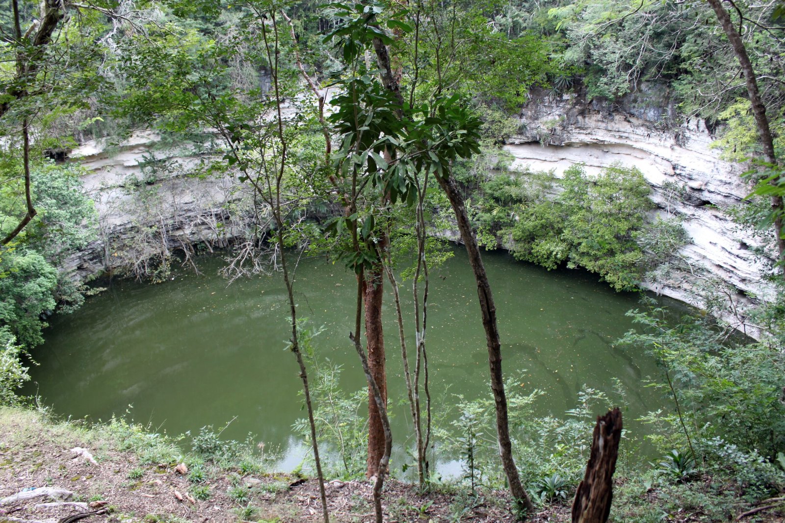 The Maya and Their Sacred Waters (image credits: wikimedia)