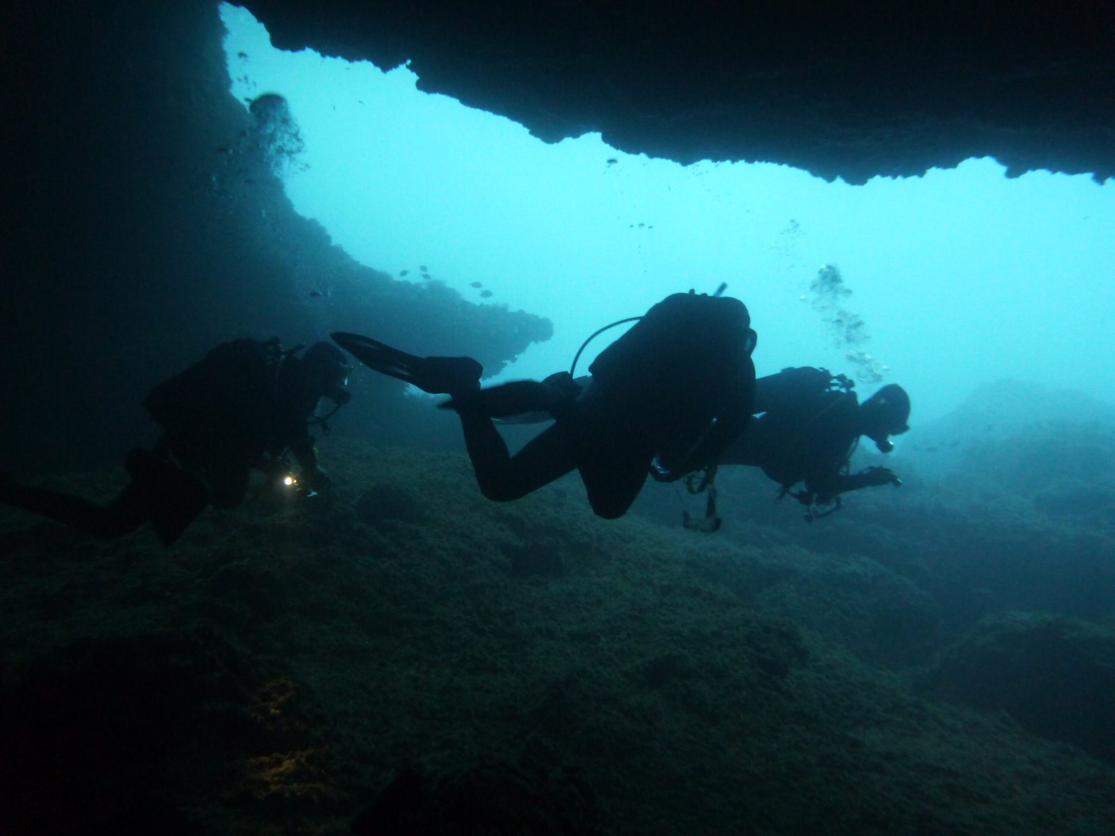 The Thrill and Danger of Underwater Exploration (image credits: wikimedia)