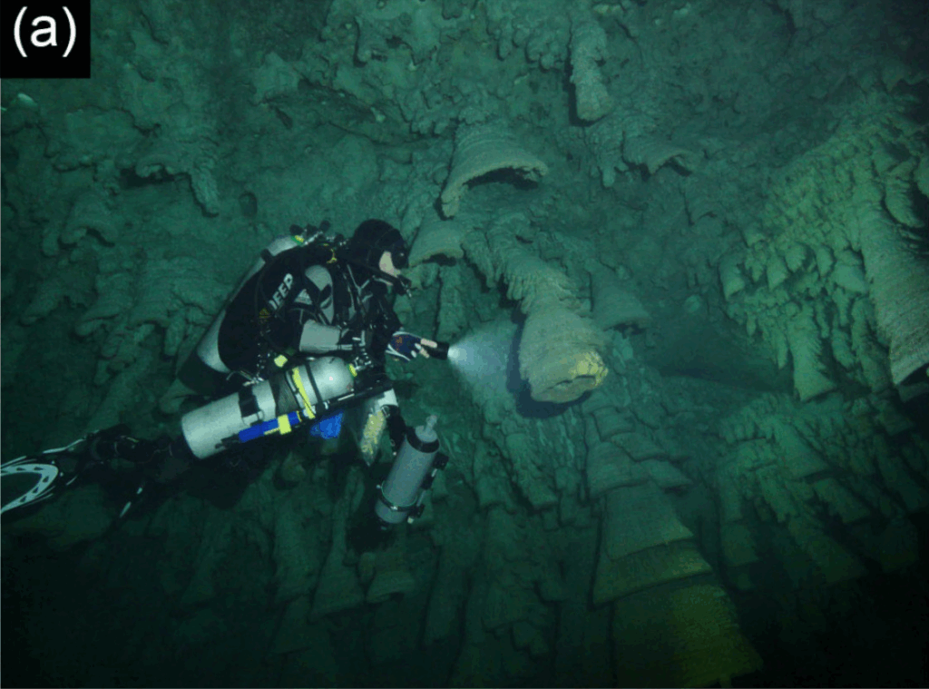 The Underwater Caves of Mexico Hide Ice Age Bones and Maya Relics
