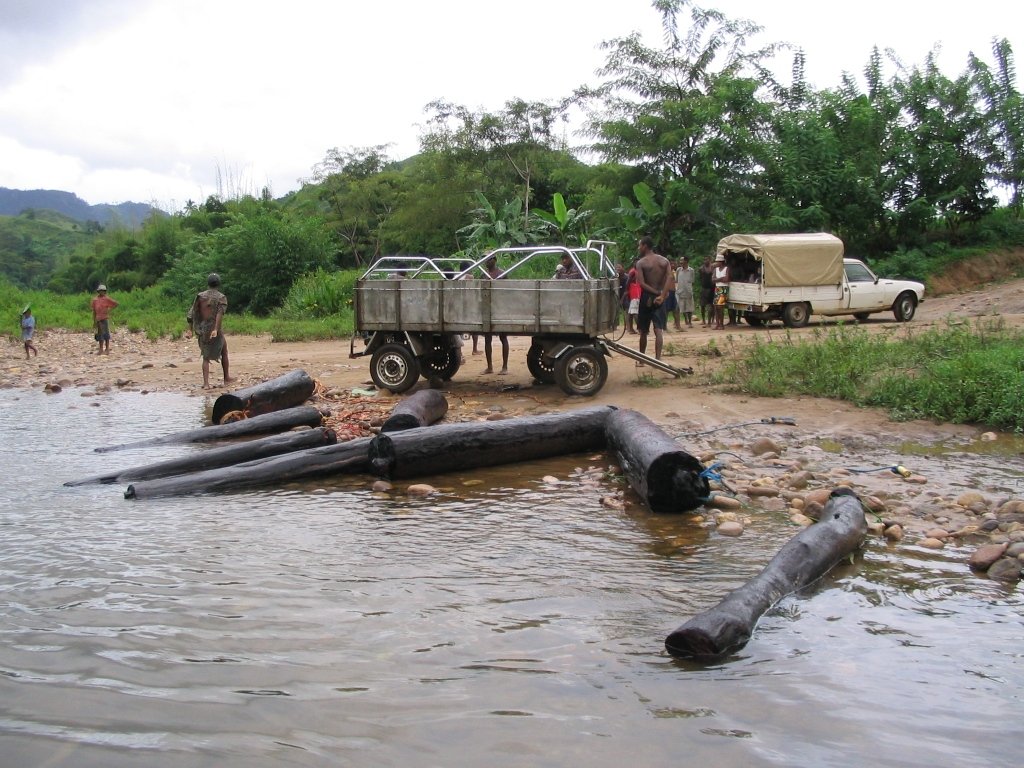 Legal vs. Illegal Logging: The Shadowy Side of Timber (image credits: wikimedia)