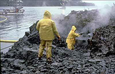 The Promise and Limitations of Bioremediation (image credits: wikimedia)