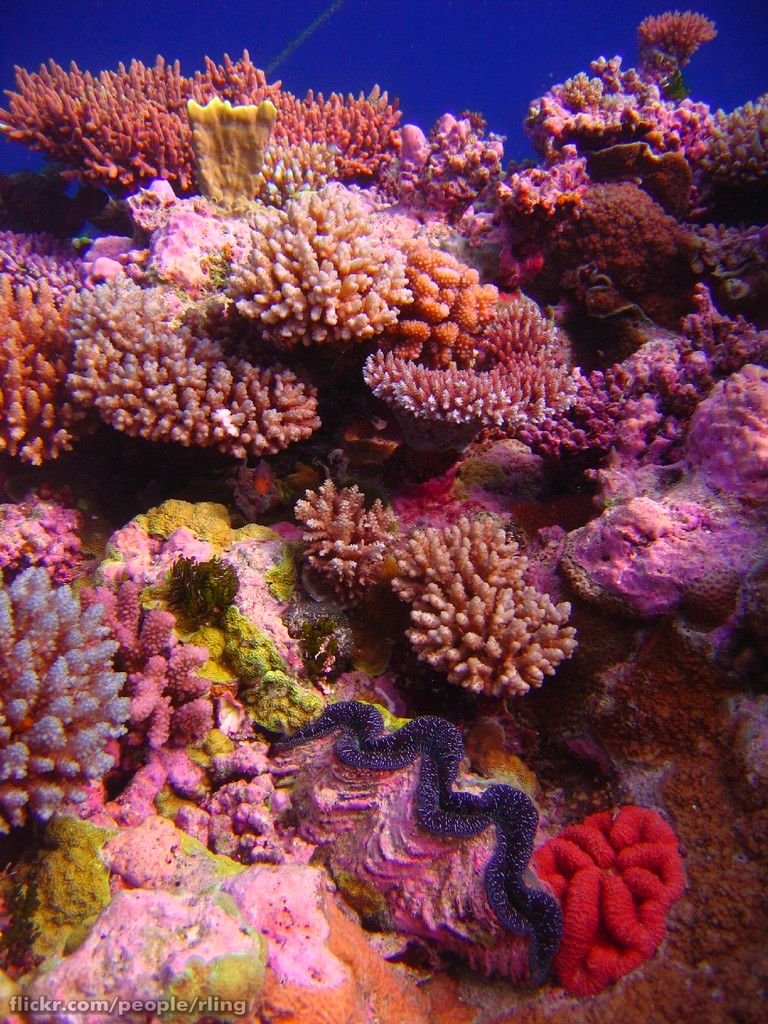 Recording Changes in Ocean Chemistry (image credits: wikimedia)