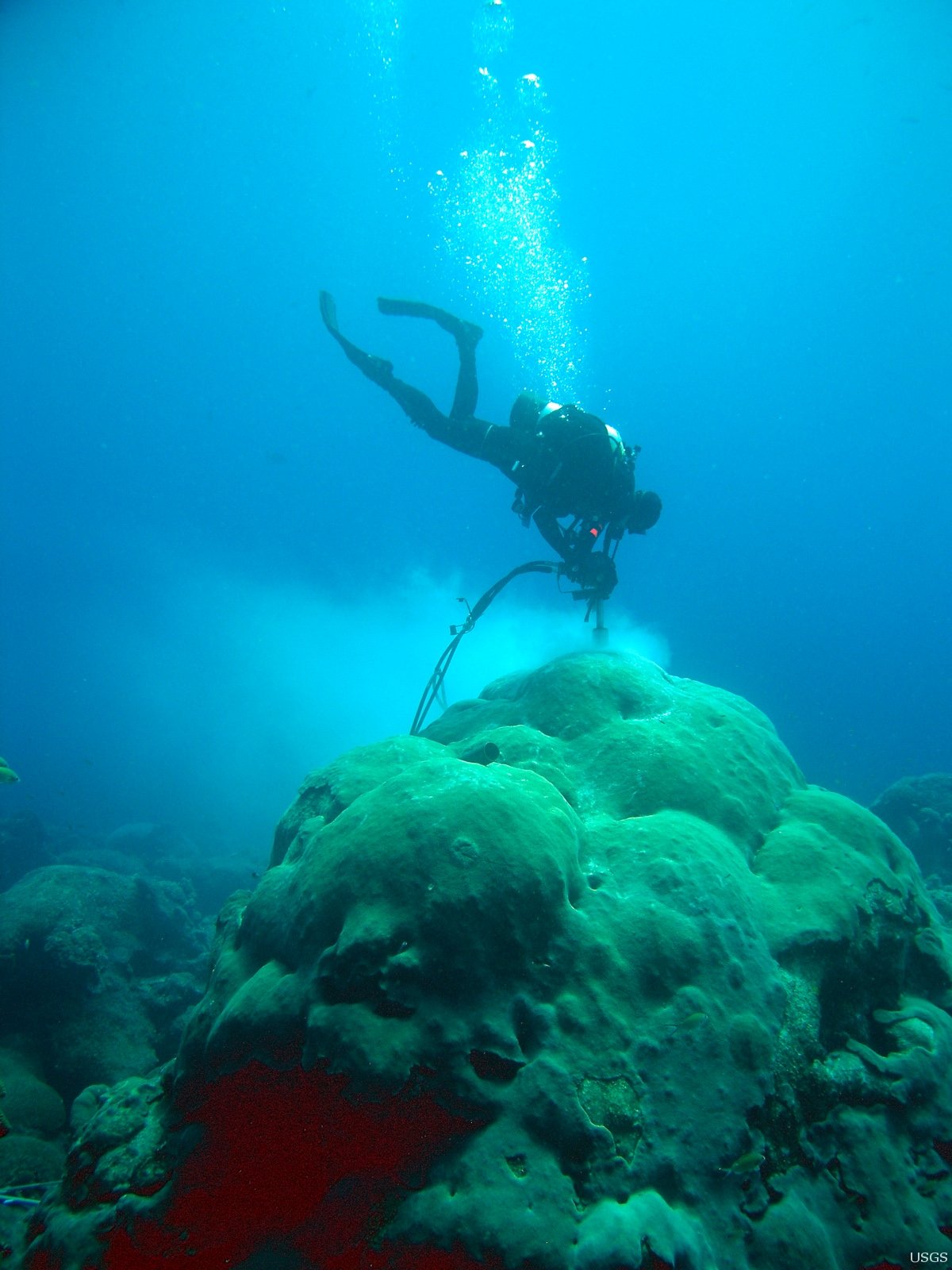 Coral Cores: Extracting Secrets Without Harm (image credits: wikimedia)
