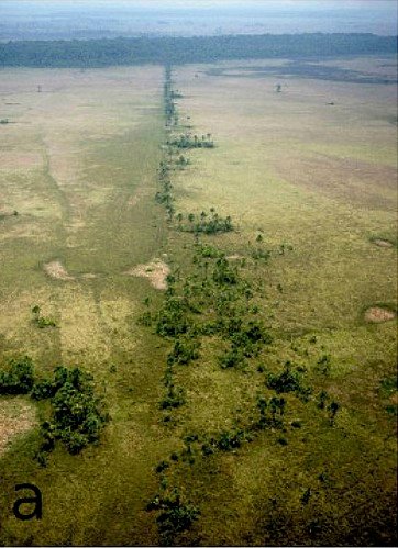 The Discovery of the Ancient Canals (image credits: wikimedia)
