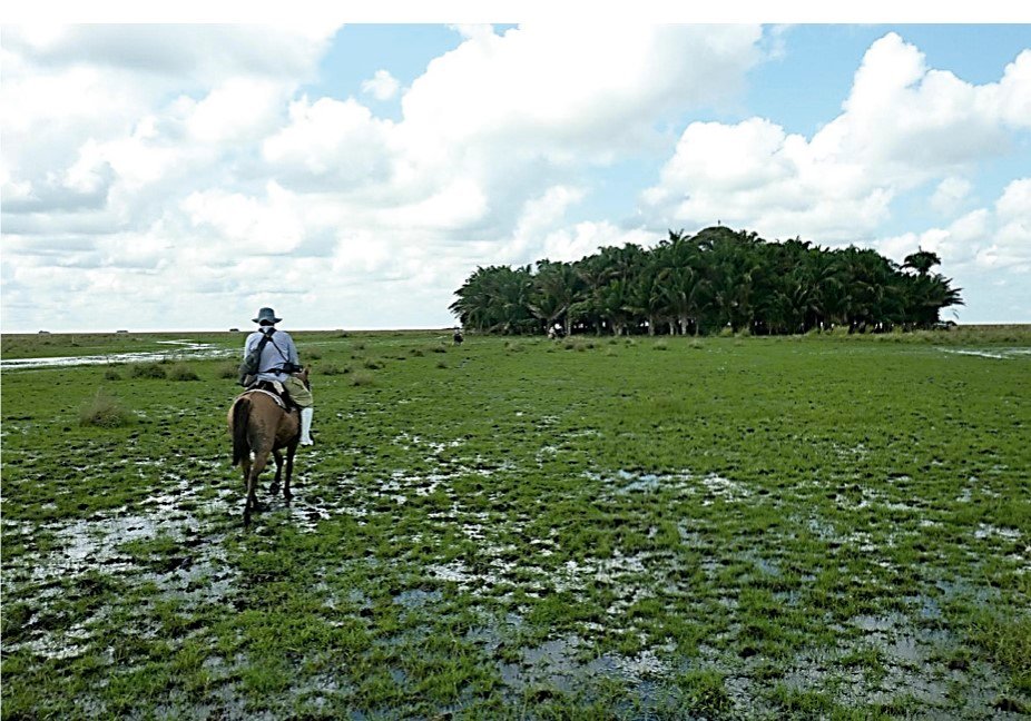 Raised Fields: Partnering with the Canals (image credits: wikimedia)