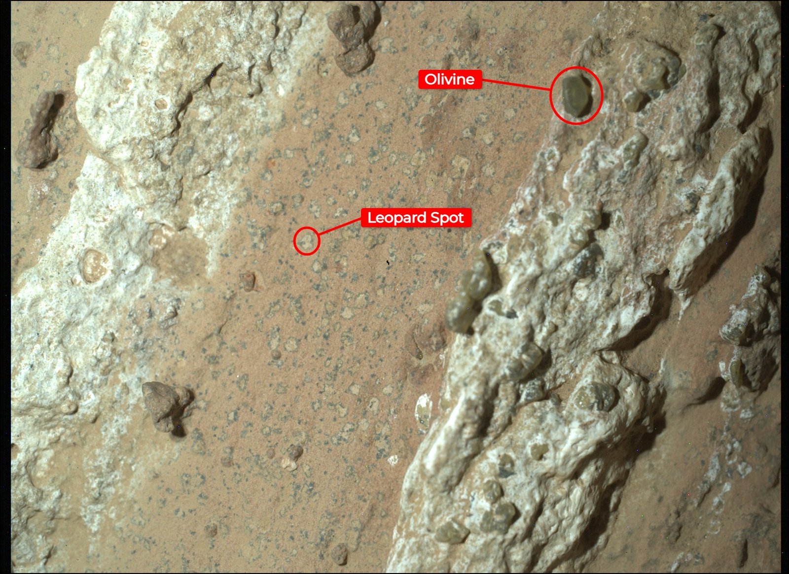 Delta Deposits: Ancient Martian Deltas and Lakes (image credits: wikimedia)