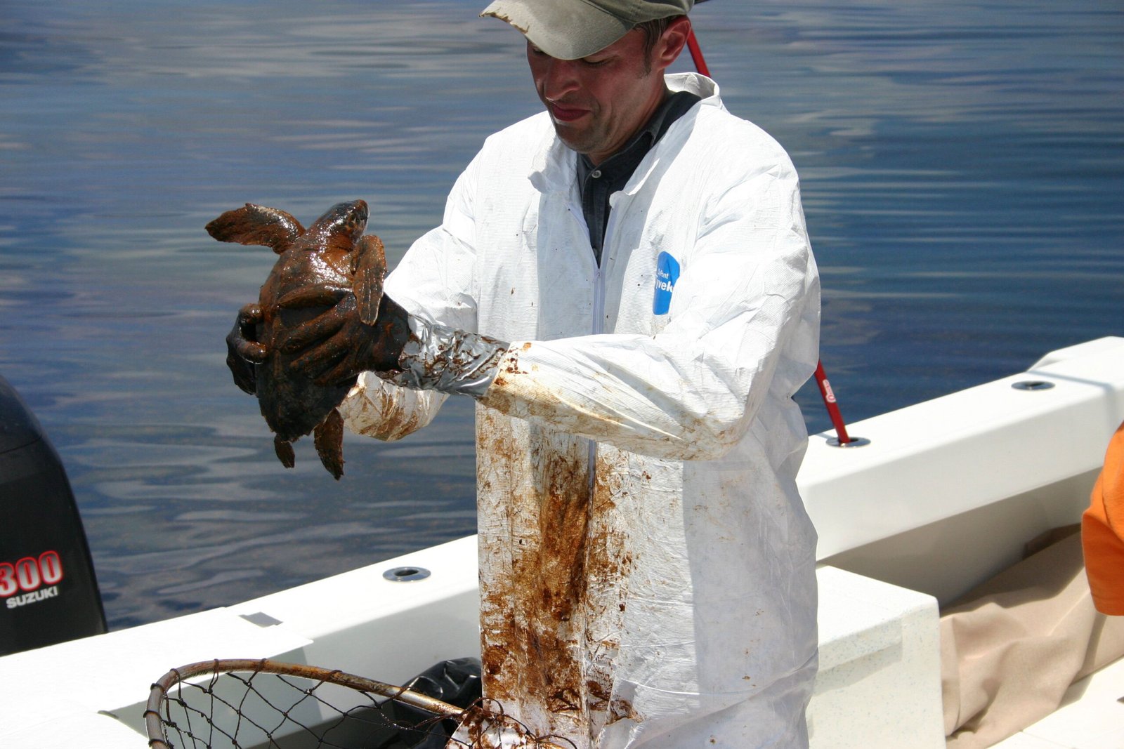 Oil Spills: The Sudden Catastrophe (image credits: wikimedia)