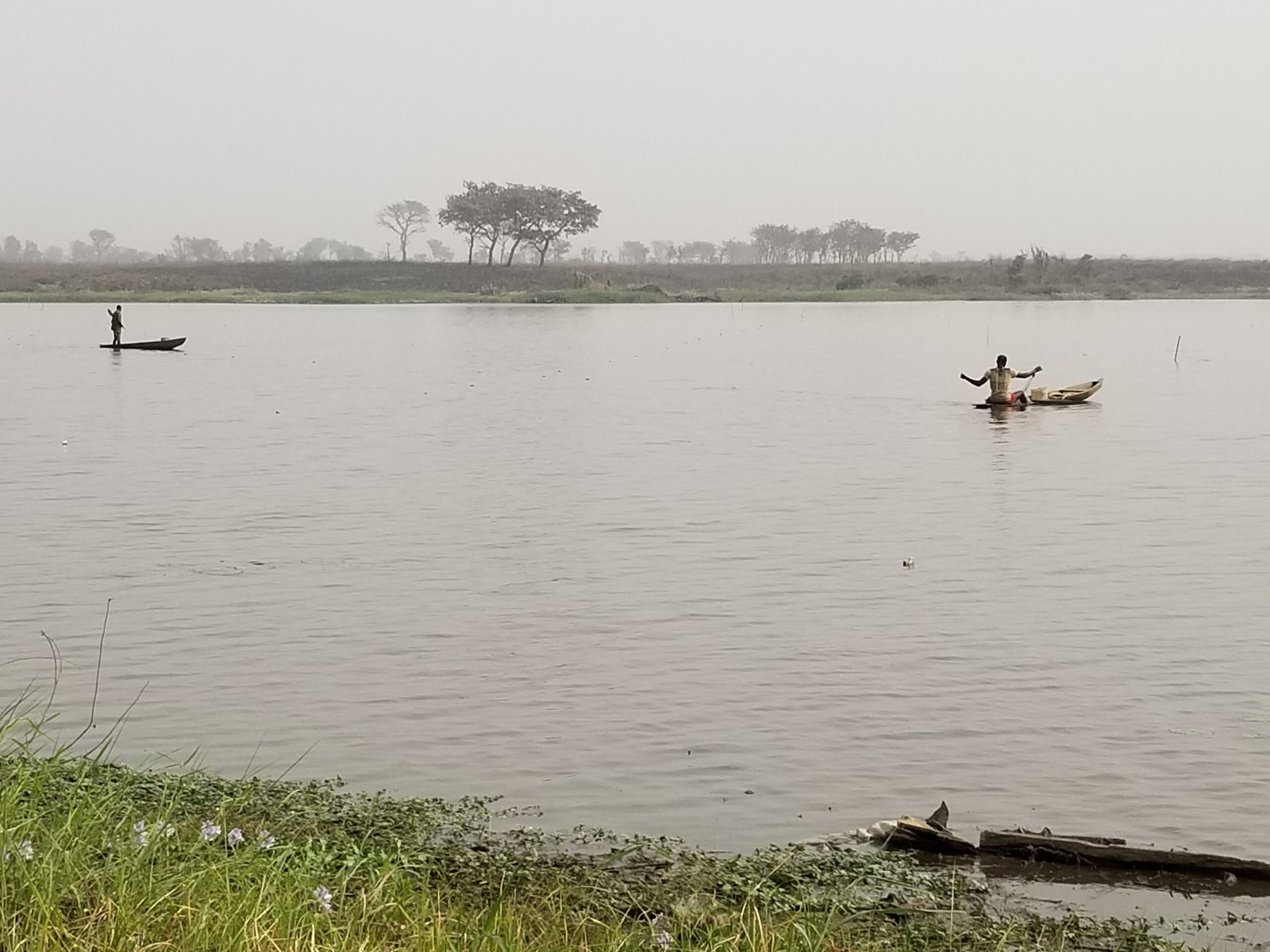 Community Voices and Local Knowledge (image credits: wikimedia)