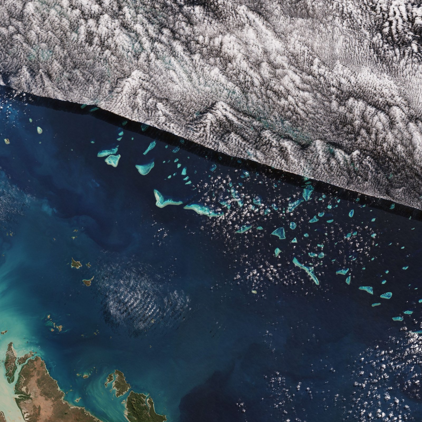 Environmental Impact: War on Coral and Land (image credits: wikimedia)