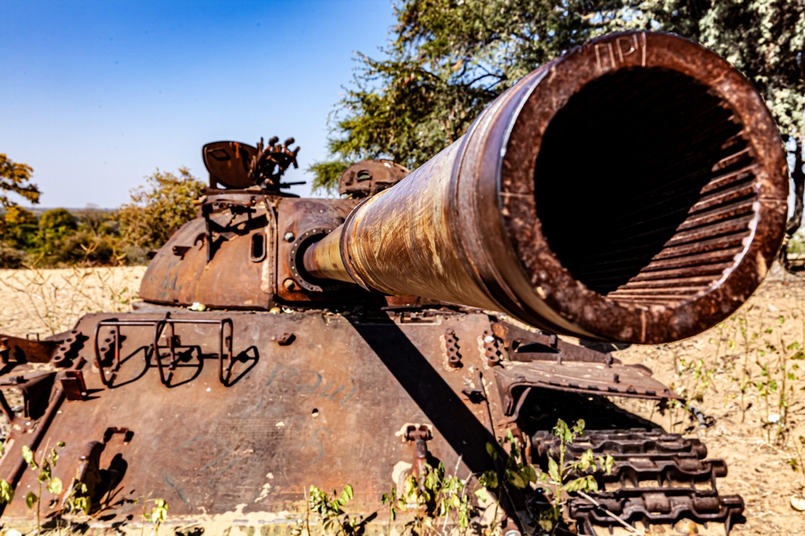 Ghosts of War: Relics and Remnants (image credits: wikimedia)