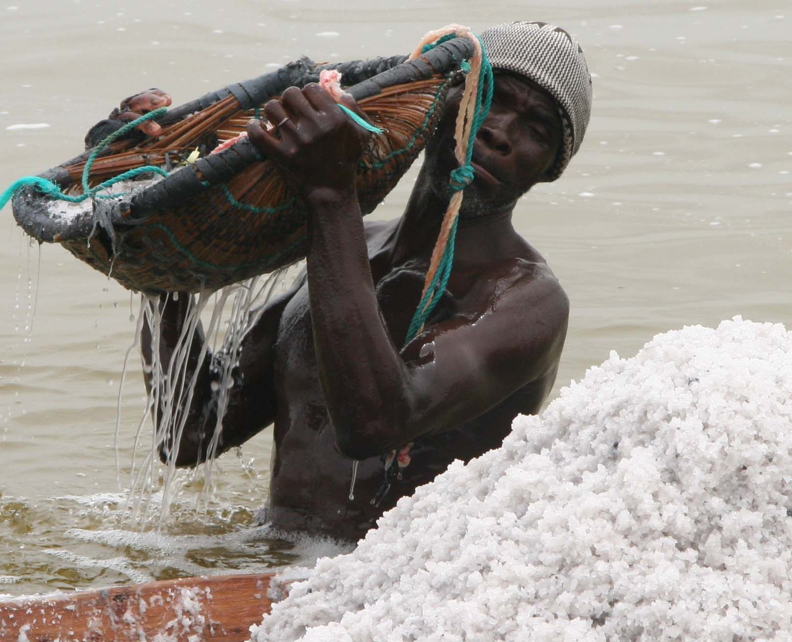 The Role of Salt Harvesting (image credits: wikimedia)