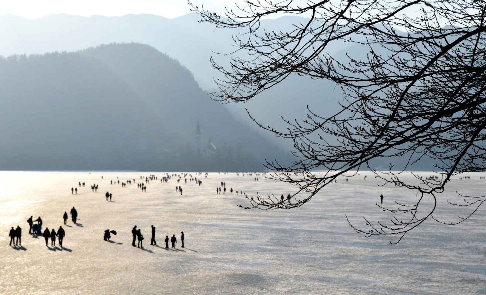 Revealing Past Pandemics and Epidemics (image credits: wikimedia)