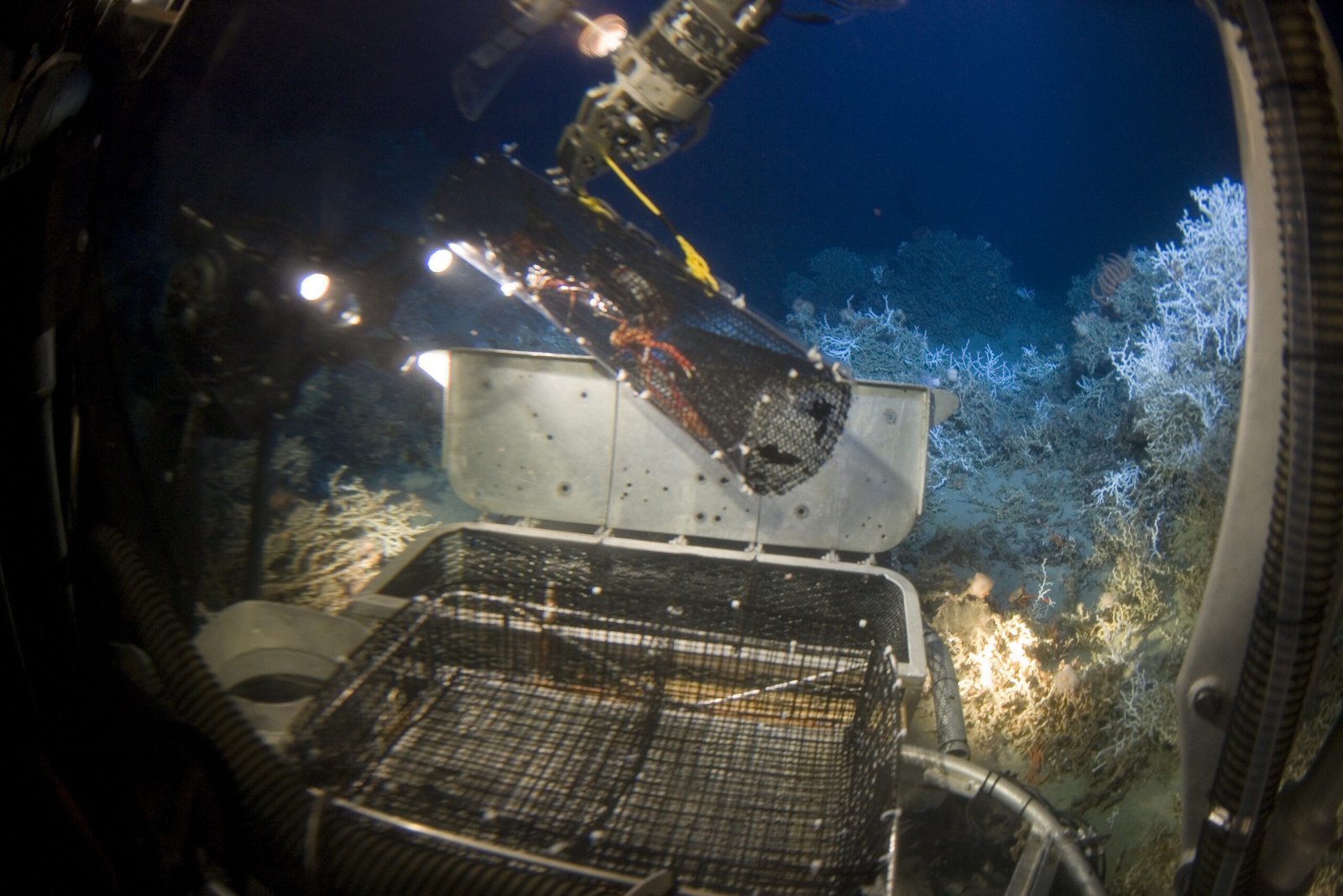 The Deep Sea: The Final Frontier of Human History (image credits: wikimedia)