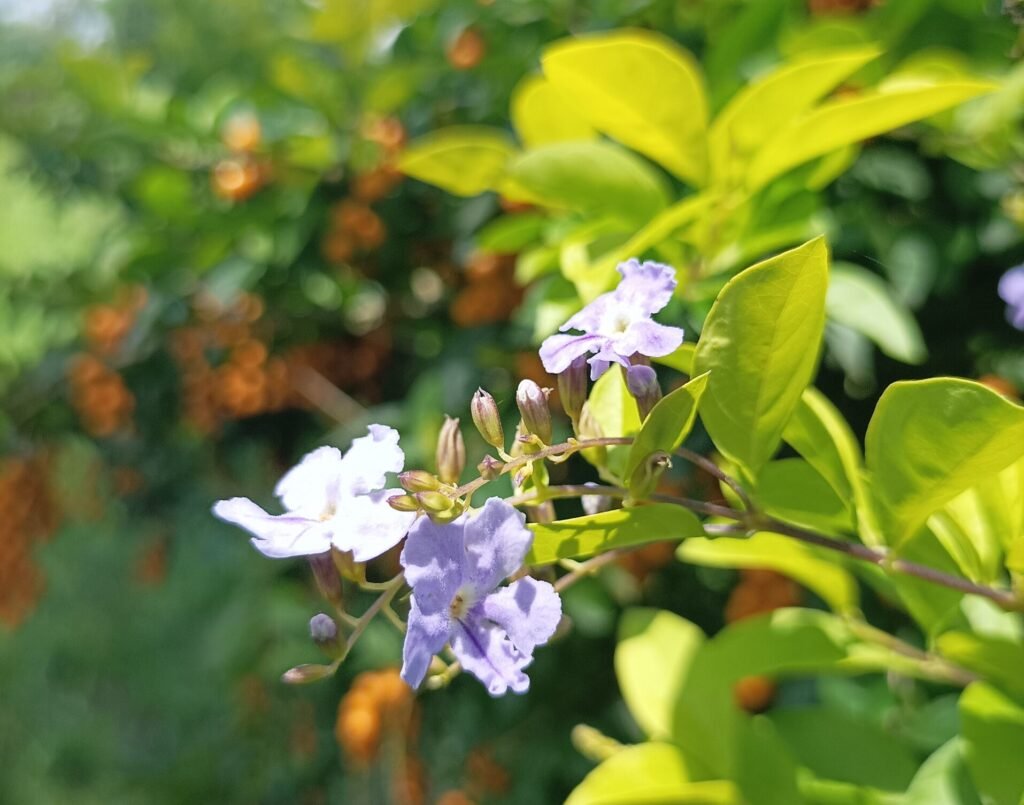 Lessons from Ancient Roots