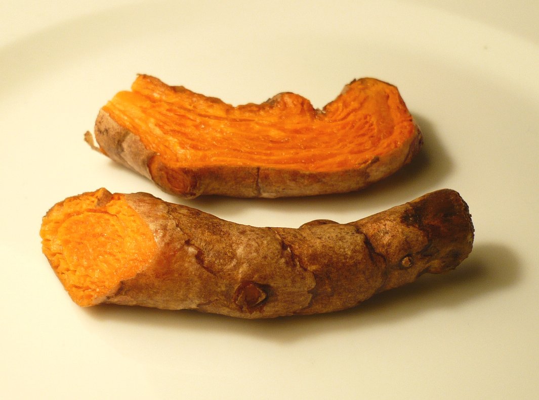Turmeric: The Golden Root with Anti-Inflammatory Magic (image credits: wikimedia)