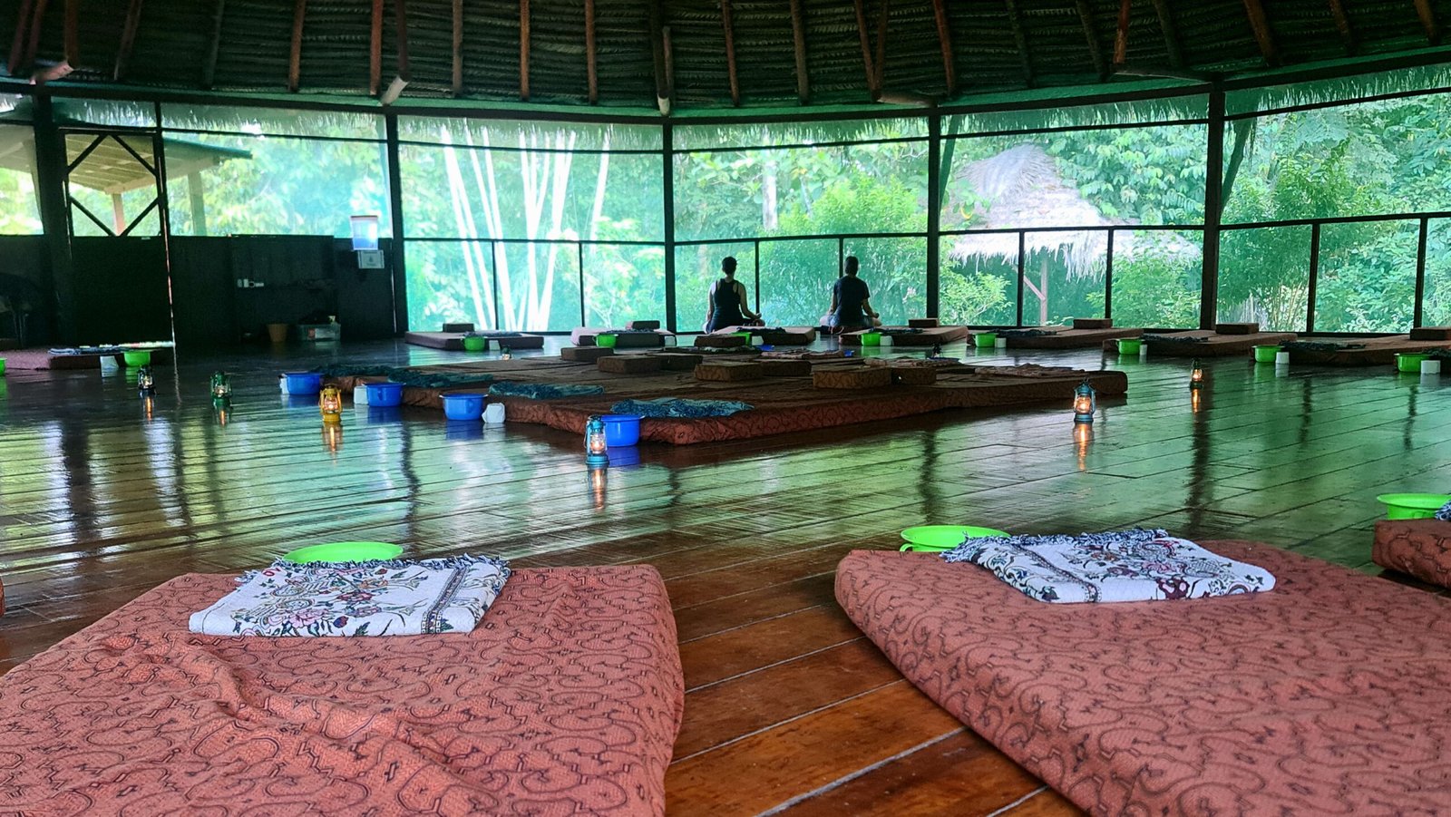 Ayahuasca and Sacred Plants: Visionary Healing in the Amazon (image credits: wikimedia)