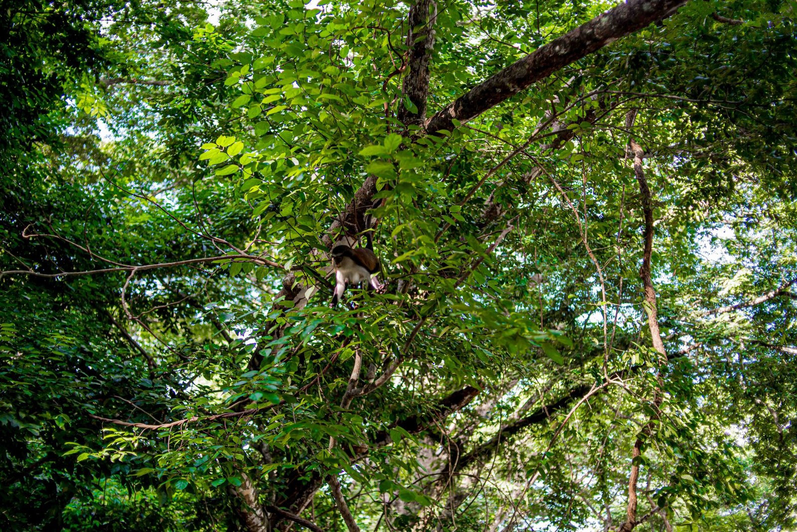 Protecting Sacred Sites and Cultural Heritage (image credits: wikimedia)