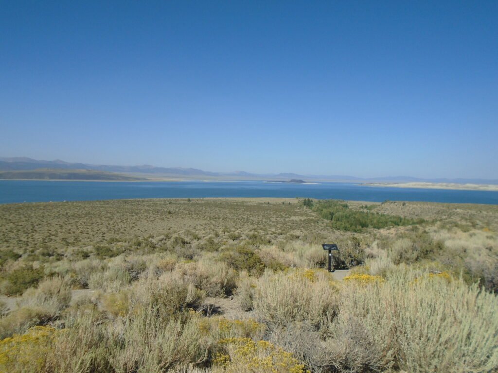 Ancient Ecosystems: Life Around the Lost Lake