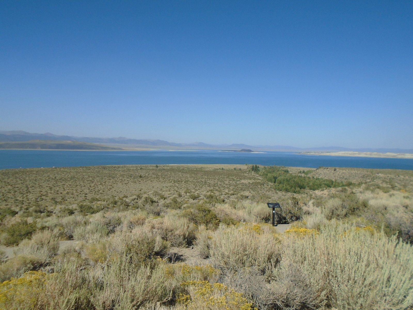 Ancient Ecosystems: Life Around the Lost Lake (image credits: wikimedia)