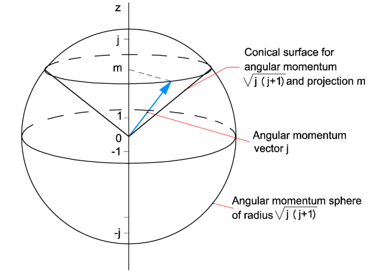 The Science Behind the Spin: Conservation of Angular Momentum (image credits: wikimedia)