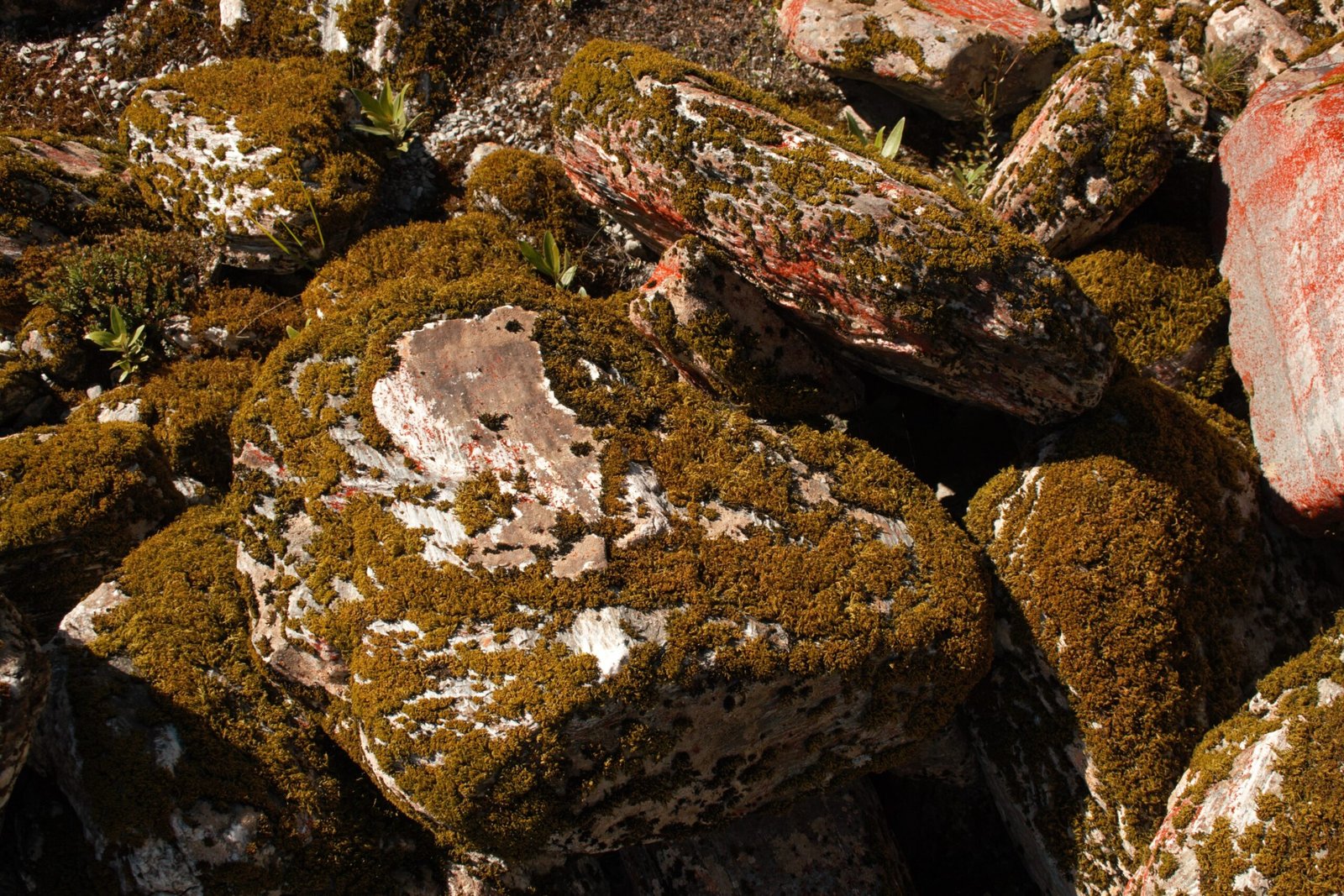 Glacier Mice and Climate Change (image credits: wikimedia)