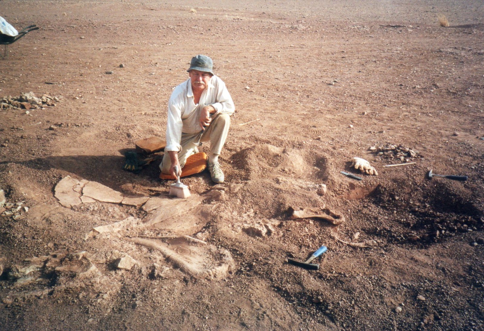 Scientific Sleuths: Paleontologists on the Hunt (image credits: wikimedia)