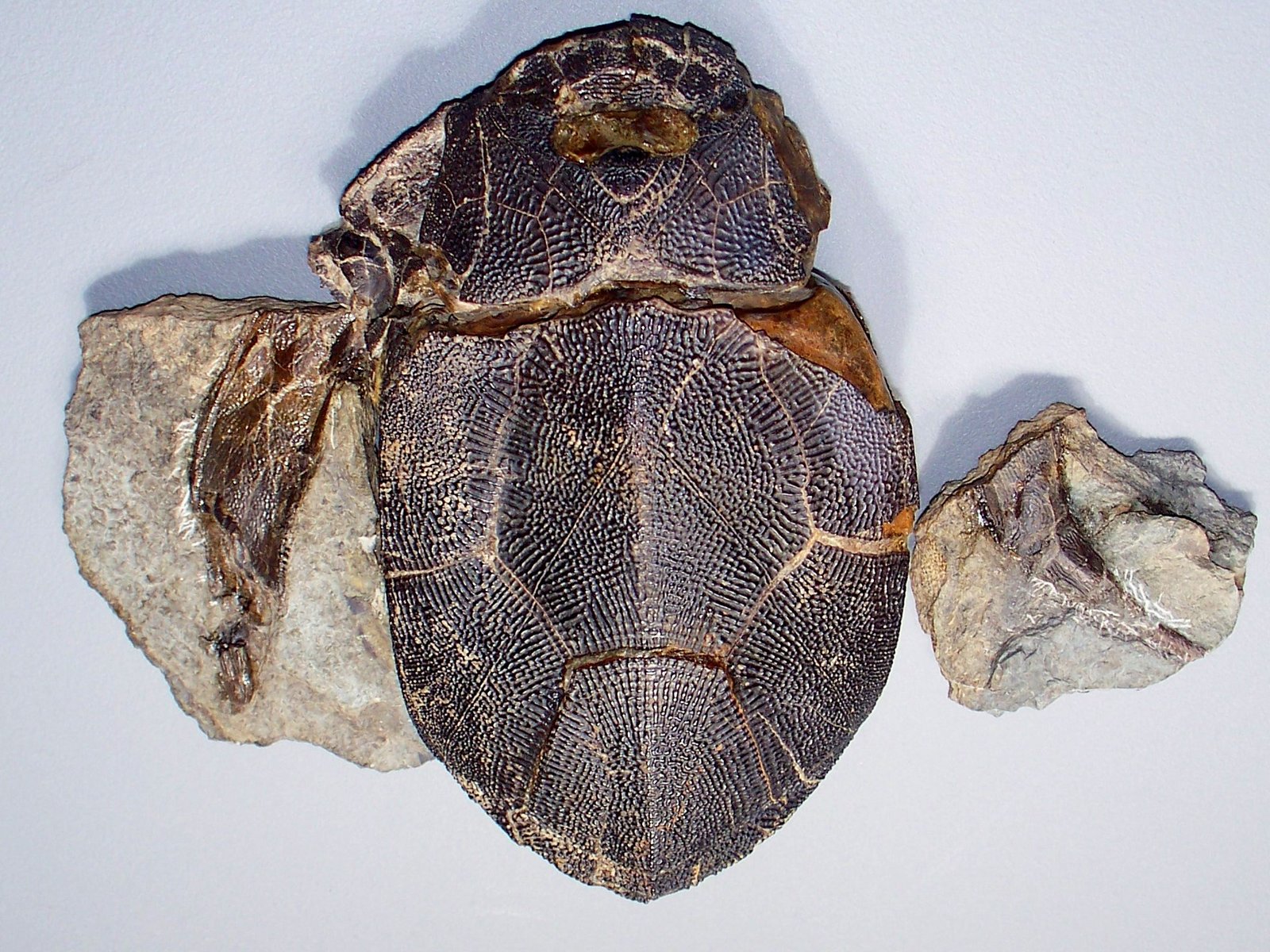 UNESCO Recognition: A Site of Global Importance (image credits: wikimedia)