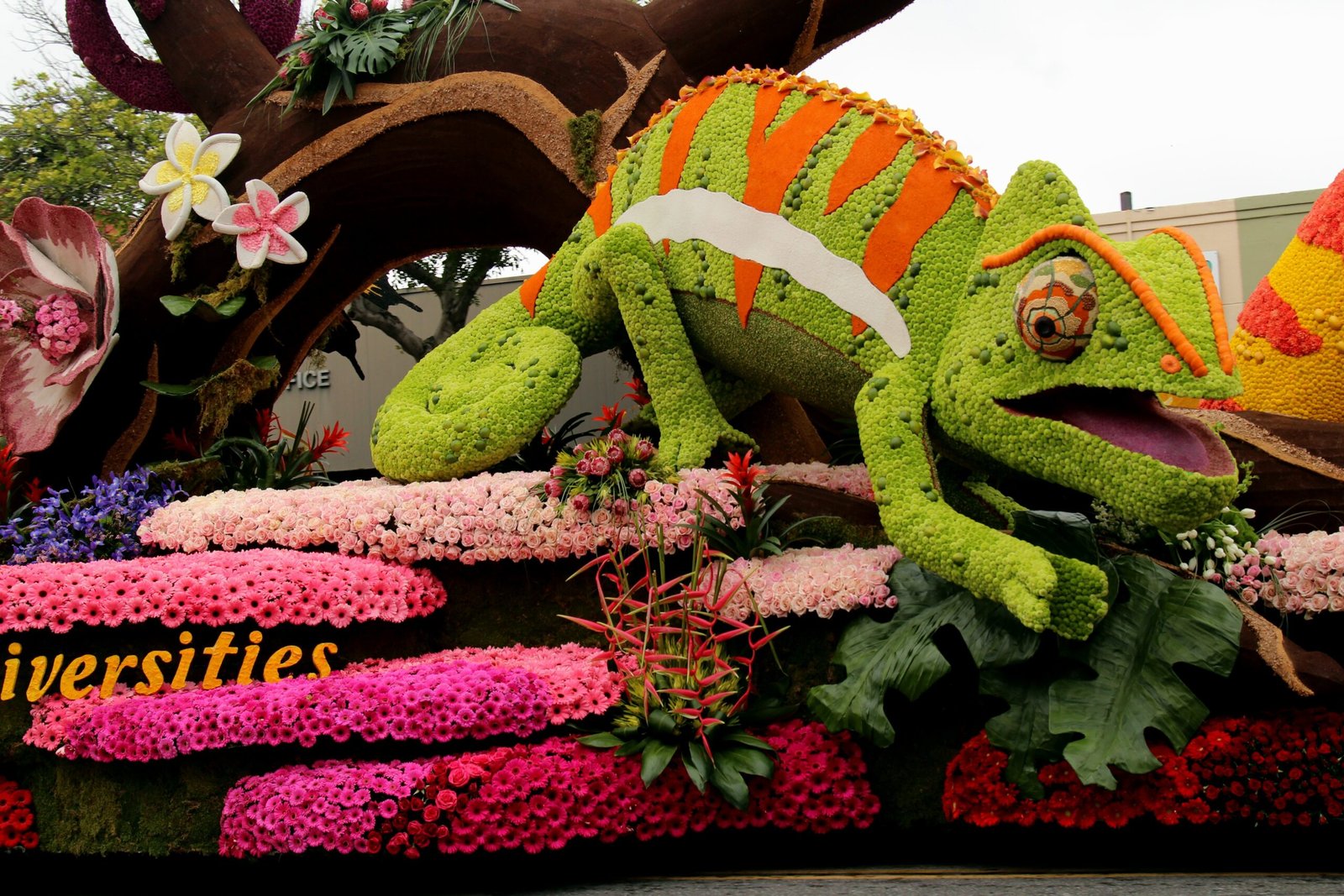 Chameleons in Popular Culture (image credits: wikimedia)