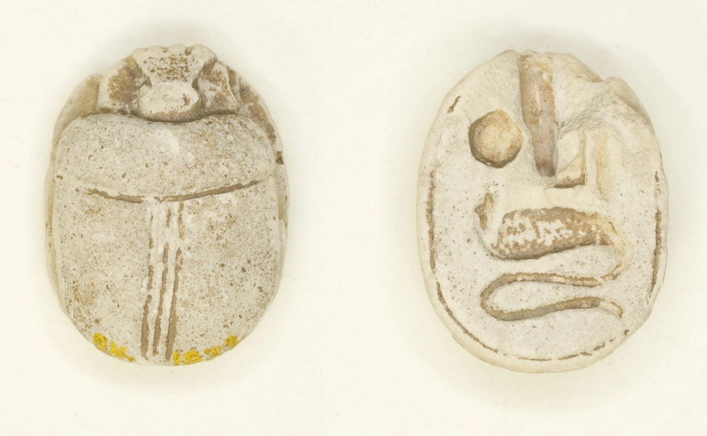 Fossils: Tracing Ancient Origins (image credits: rawpixel)