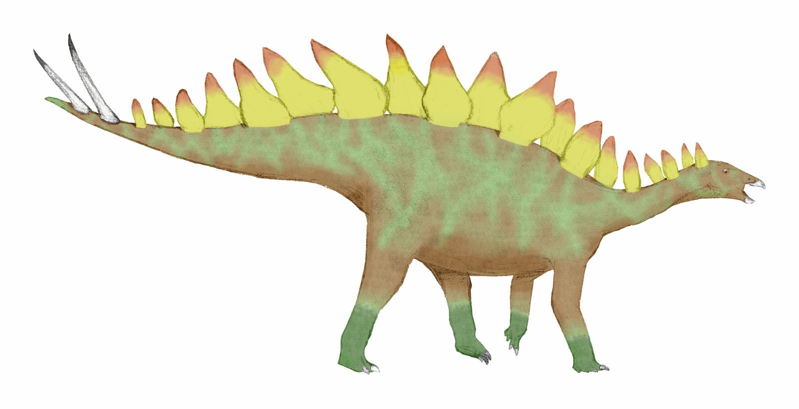 Stegosaurs and Armored Dinosaurs (image credits: wikimedia)