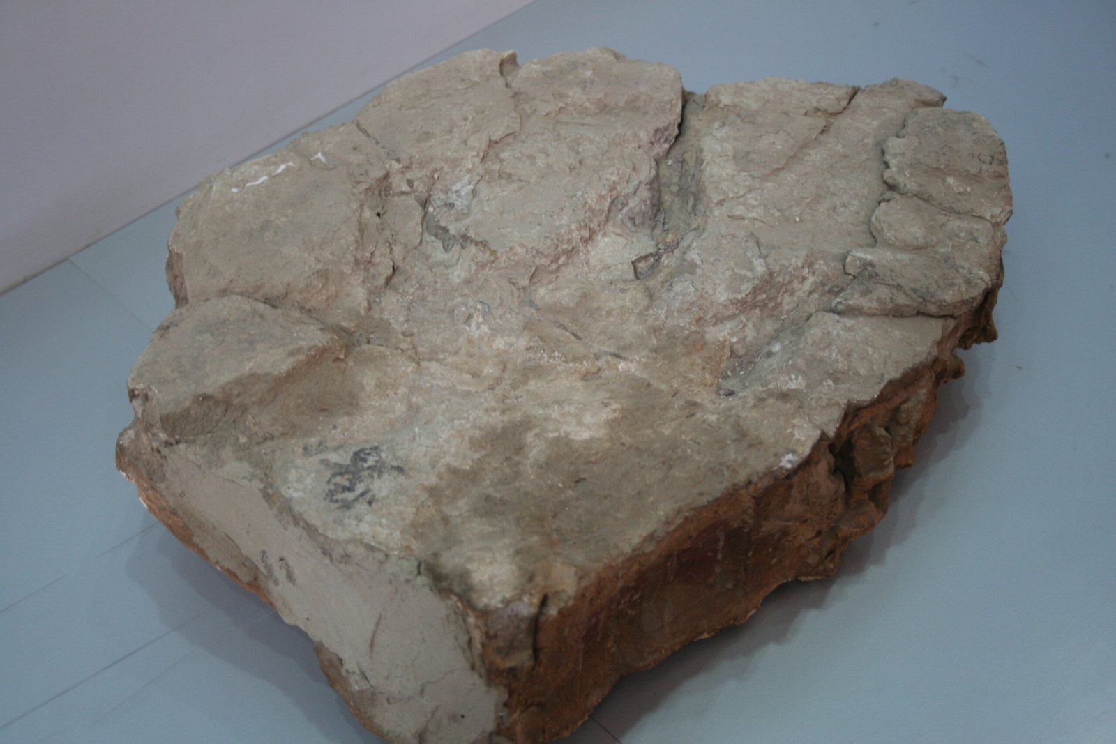 Footprints as Fossils: How Tracks Are Preserved (image credits: wikimedia)