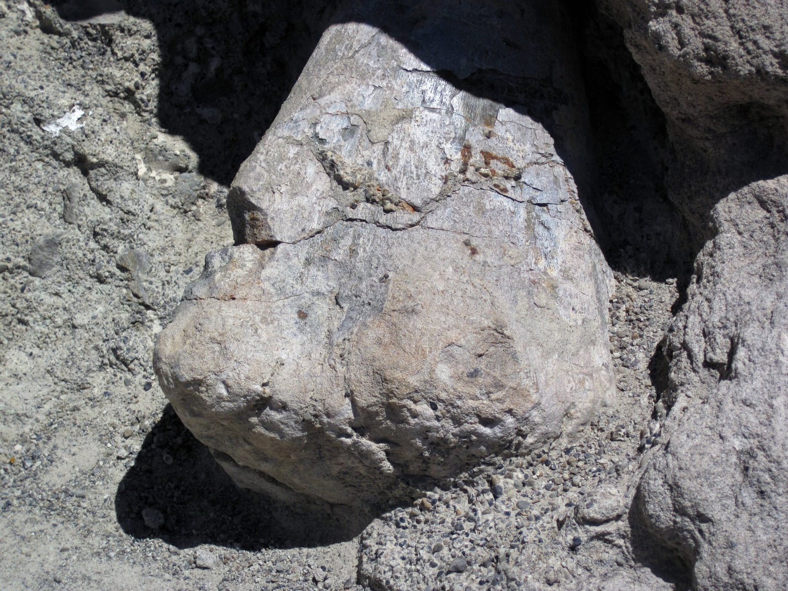 The Ongoing Race Against Erosion (image credits: wikimedia)